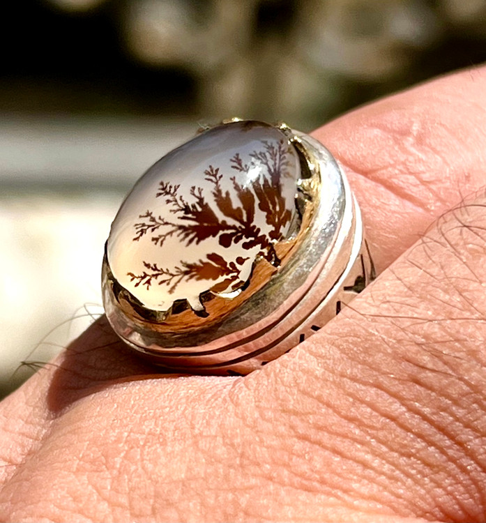 مشخصات و خرید شجر اصل قاین