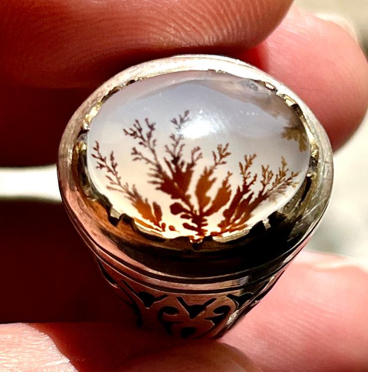 مشخصات قیمت و خرید انگشتر شجر قاین اصل