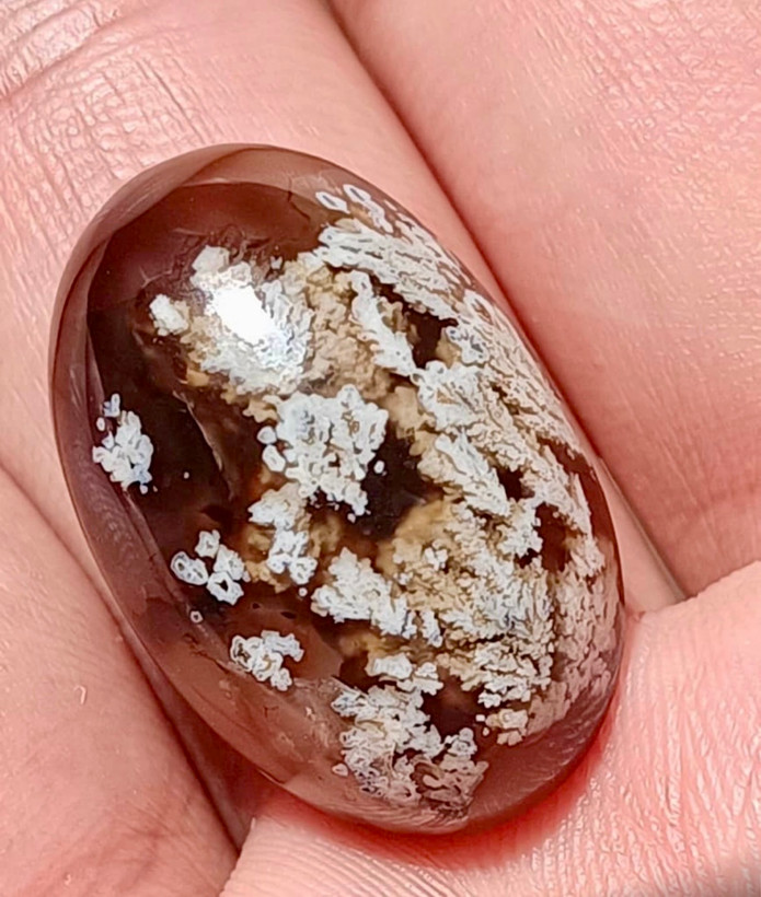 نگین سنگ طبیعی شجر گل بهاری از معادن فردوس خراسان